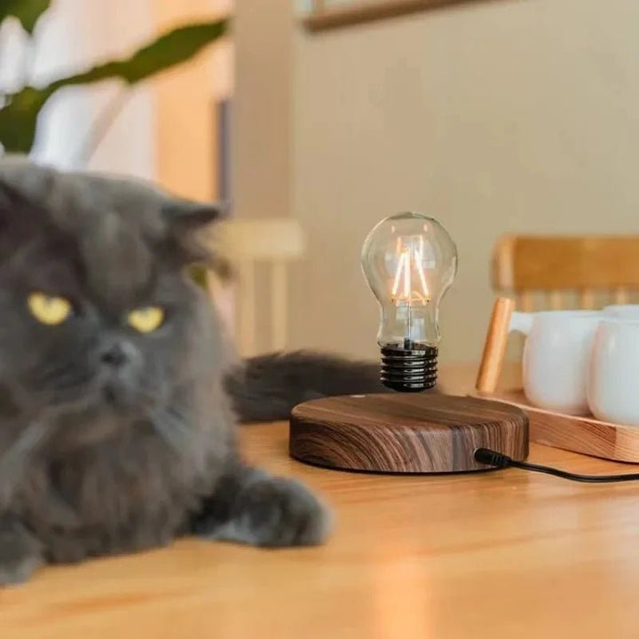 Floating Light Bulb Lamp – Magnetic Levitating LED Night Light - Aetheo Store