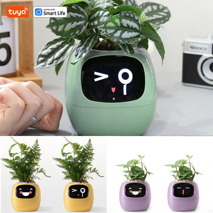 The Tuya Ivy Smart Plant Pot – AI - Driven Tuya Ivy Planter with Sensors & Expressions - Aetheo Store