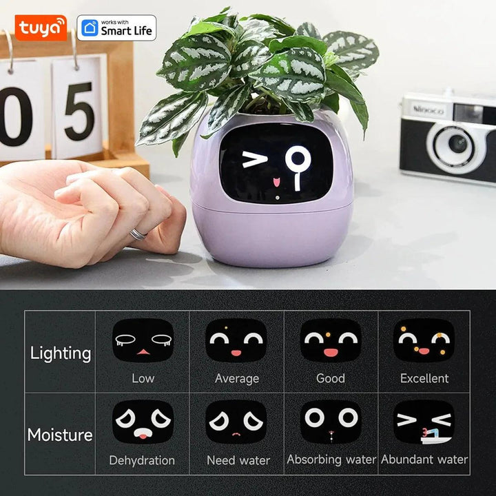 The Tuya Ivy Smart Plant Pot – AI - Driven Tuya Ivy Planter with Sensors & Expressions - Aetheo Store